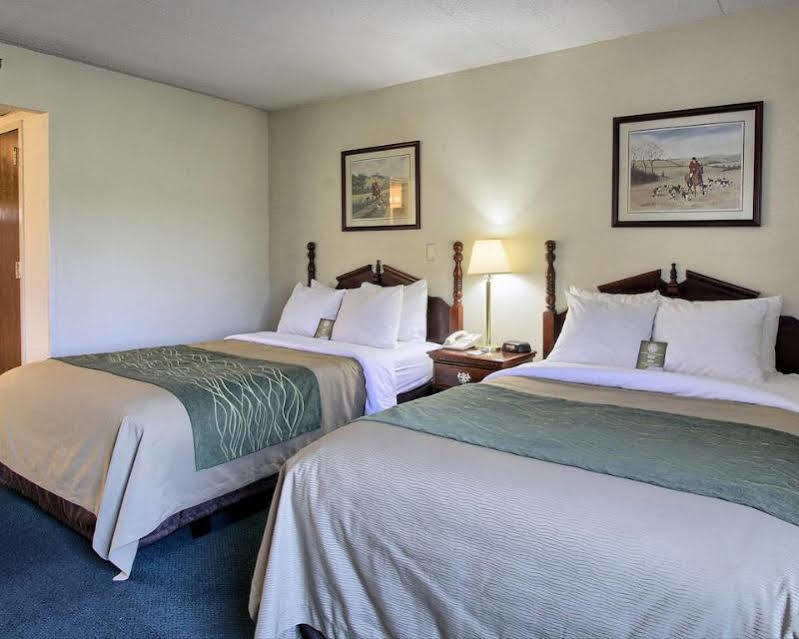 Super 8 By Wyndham Chambersburg I-81 Hotel Exterior foto